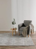 60007707_172101_2_7bd6