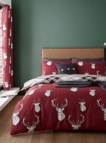 91Ll8m1Wx2L._AC_SX679_