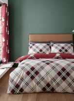 91cllQE6c8L._AC_SX679_